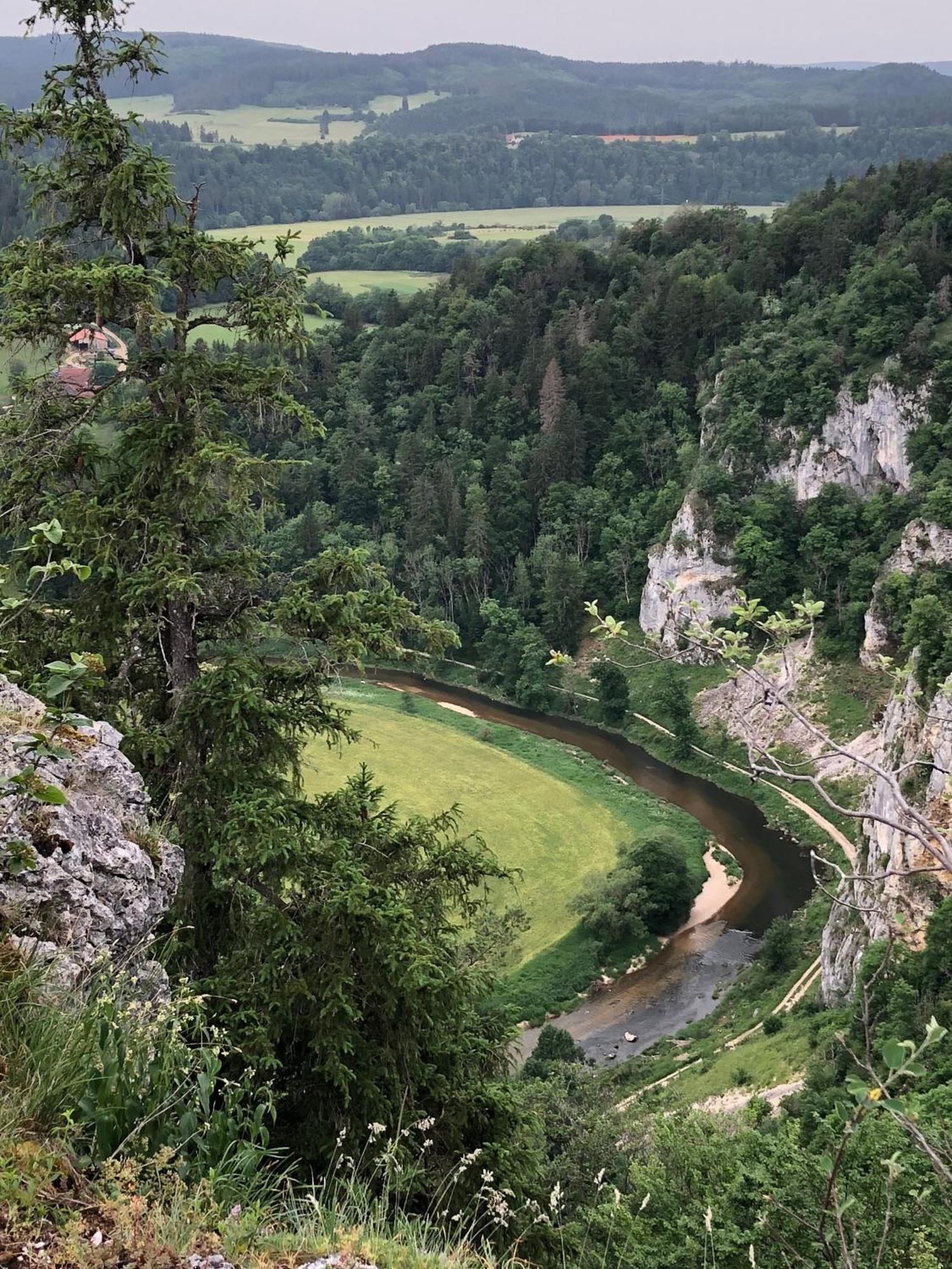 Ferienwohnung Jardin De Lavande Fridingen an der Donau Esterno foto