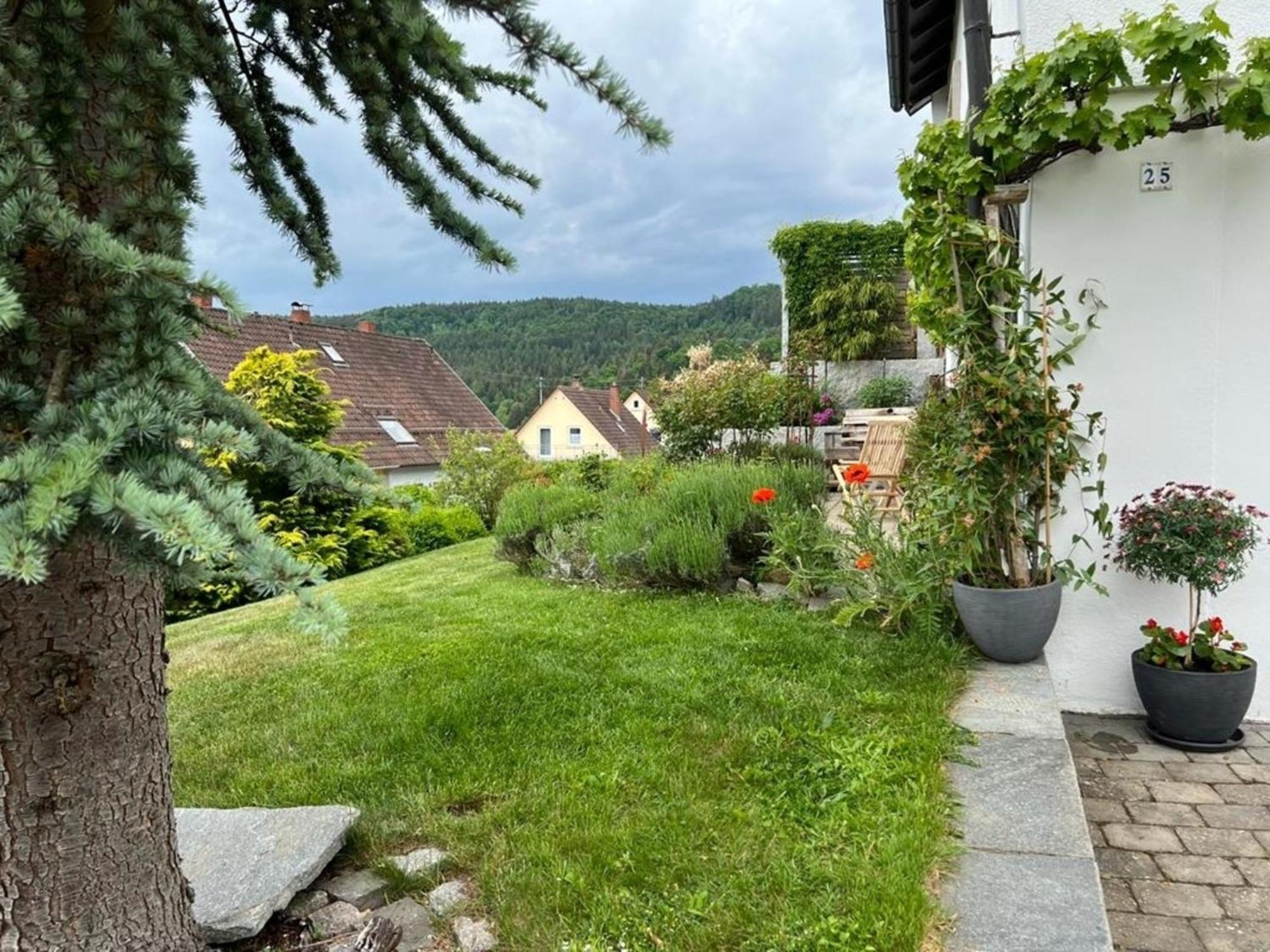 Ferienwohnung Jardin De Lavande Fridingen an der Donau Esterno foto