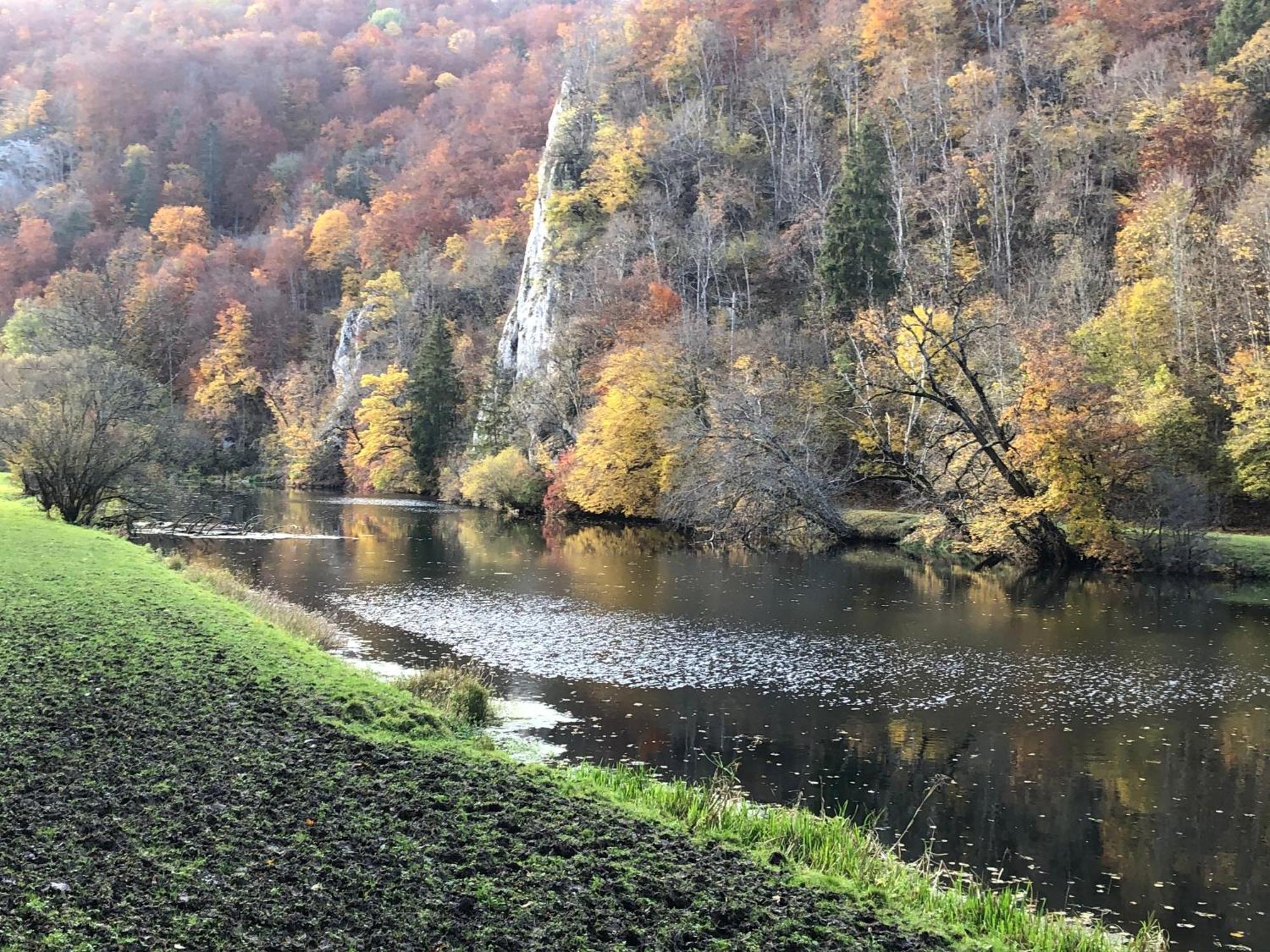 Ferienwohnung Jardin De Lavande Fridingen an der Donau Esterno foto