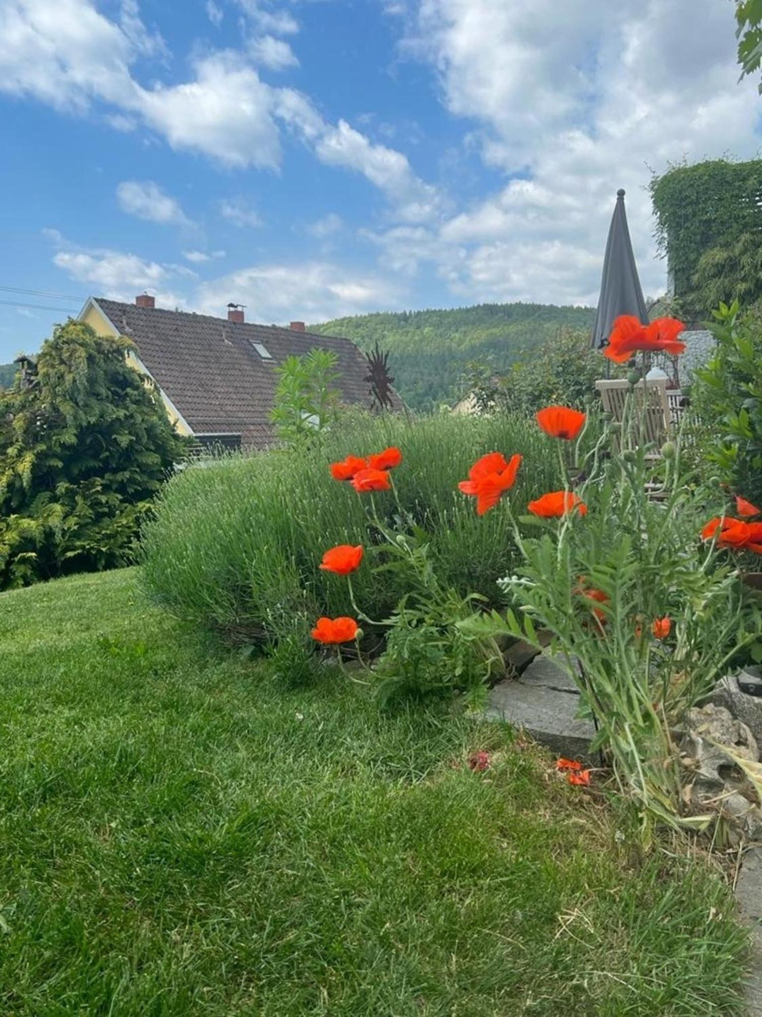 Ferienwohnung Jardin De Lavande Fridingen an der Donau Esterno foto